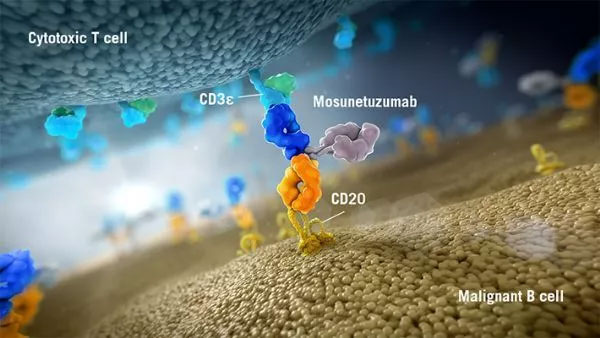 罗氏CD20xCD3双抗mosunetuzumab获得FDA突破性疗法认定
