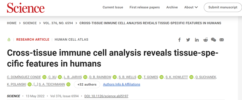 【Science重磅发布】迄今为止，最全面的跨组织细胞图谱绘成