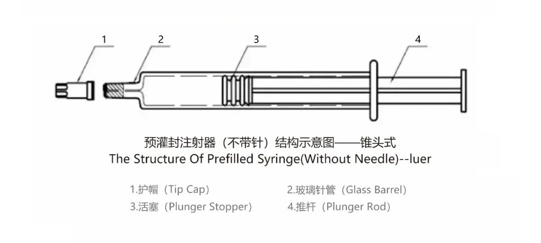 异军突起：这家CDMO布局前景广阔的生物药预灌封系统（PFS）