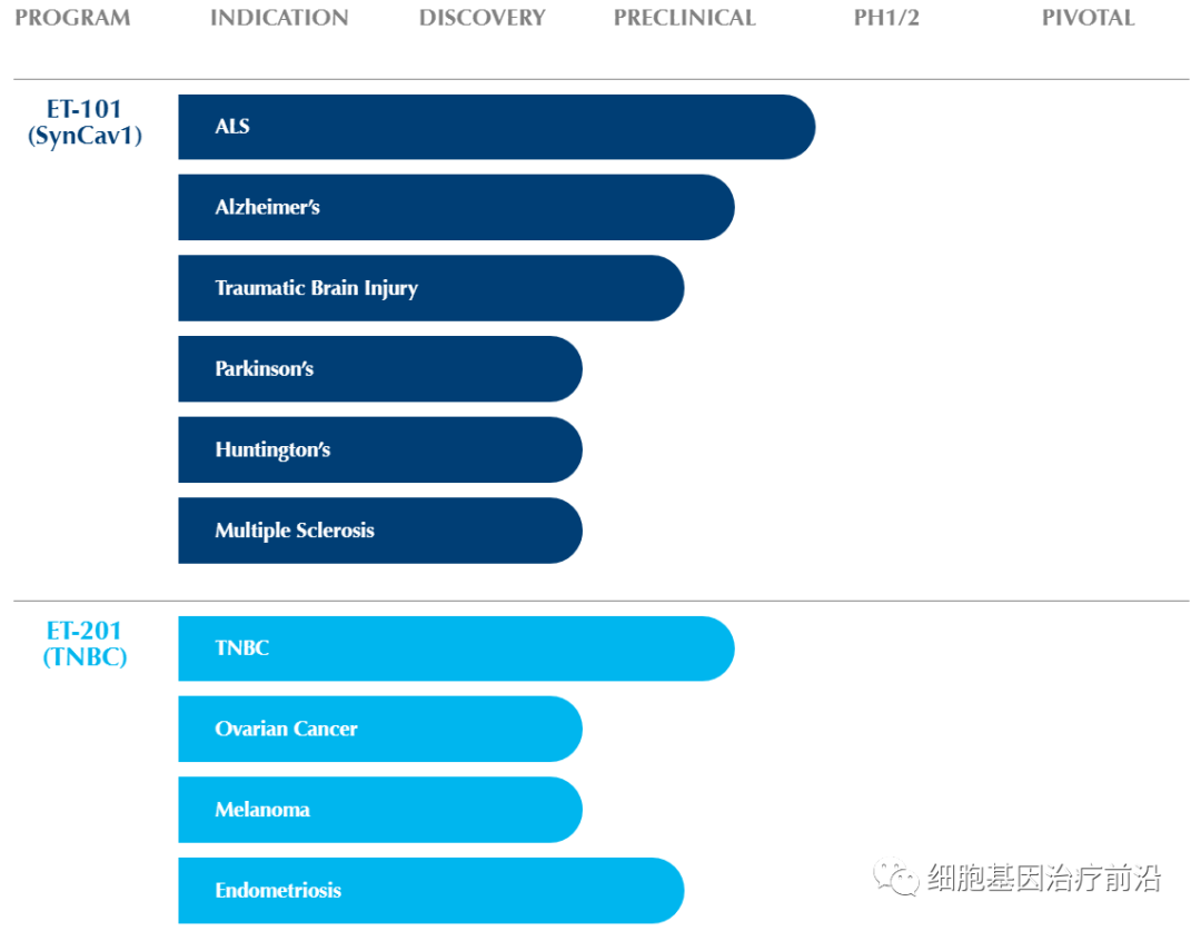 Eikonoklastes基因疗法获得孤儿药认定，有望治疗渐冻症