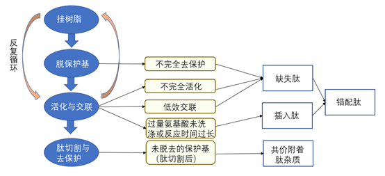 合成多肽药物杂质分类及产生机制