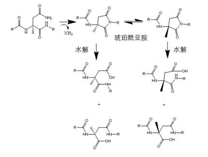 合成多肽药物杂质分类及产生机制